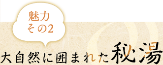 魅力2大自然に囲まれた秘湯